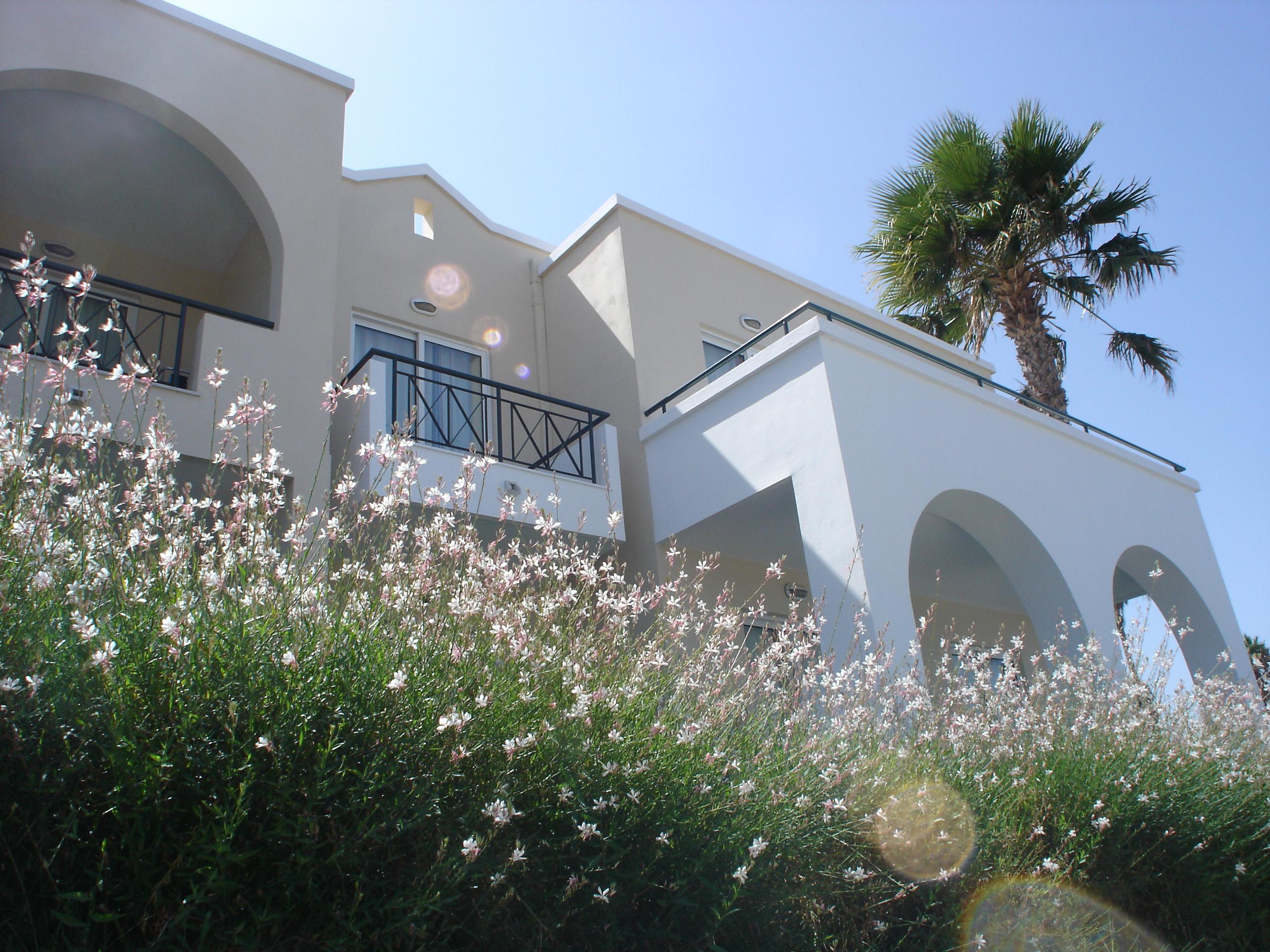 Andromeda Hotel Apartments Psalidi  Exterior foto