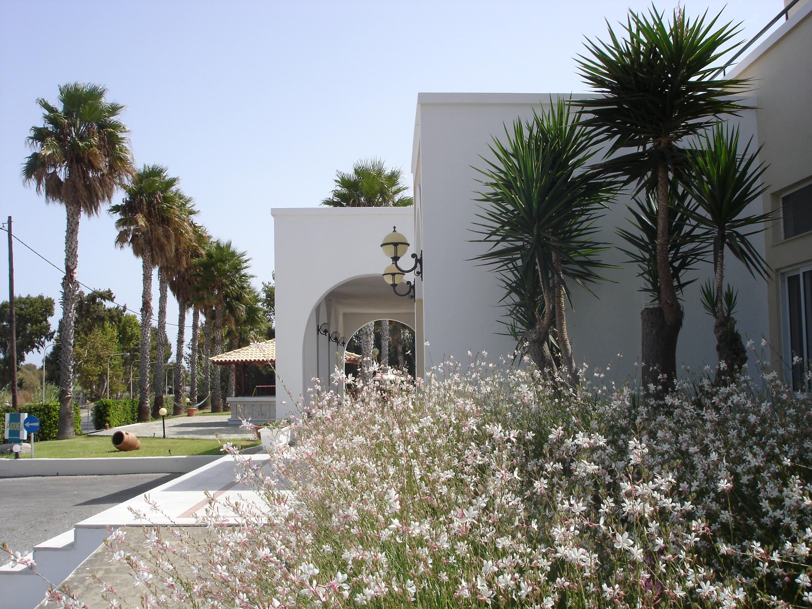 Andromeda Hotel Apartments Psalidi  Exterior foto