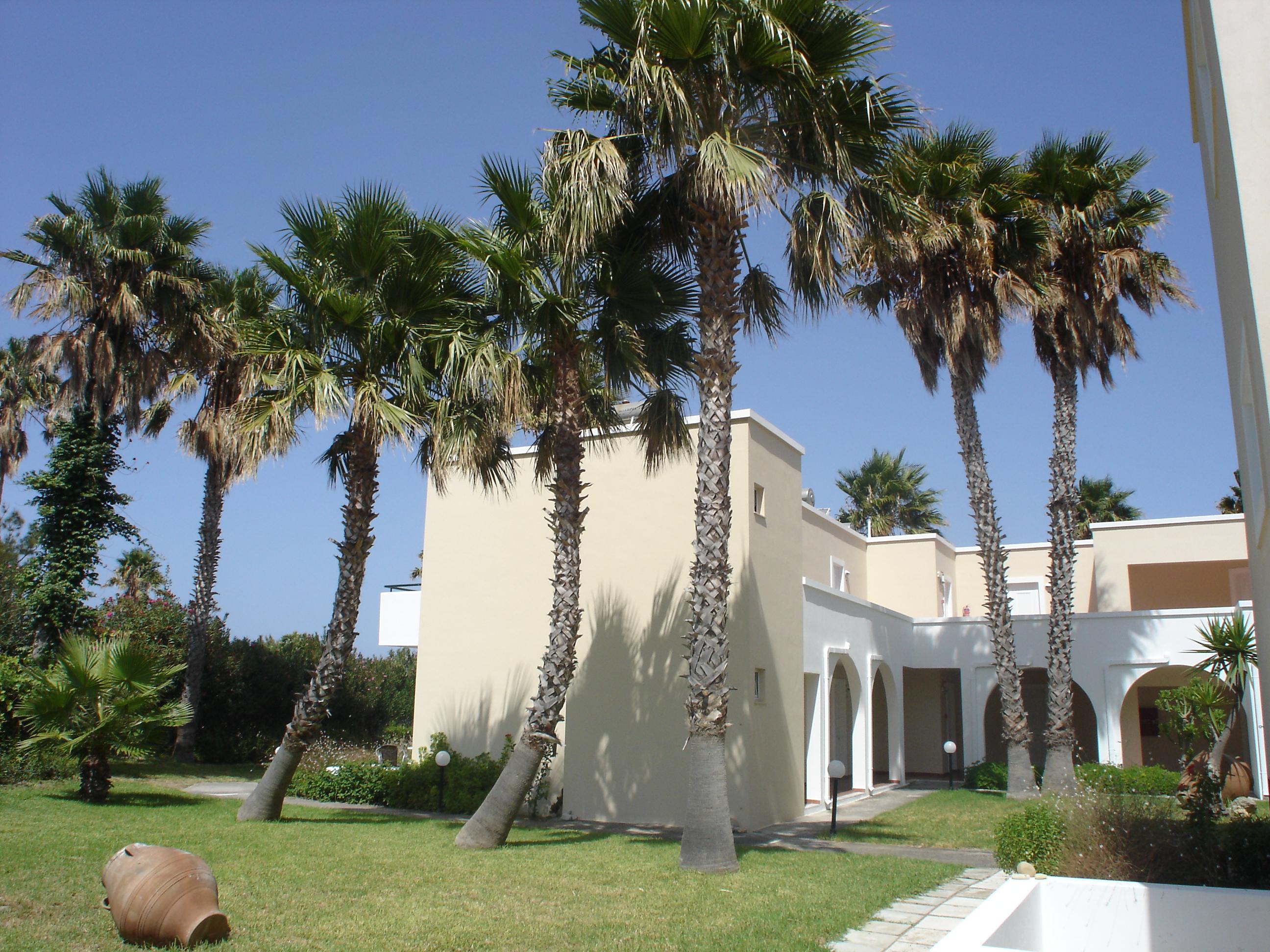 Andromeda Hotel Apartments Psalidi  Exterior foto