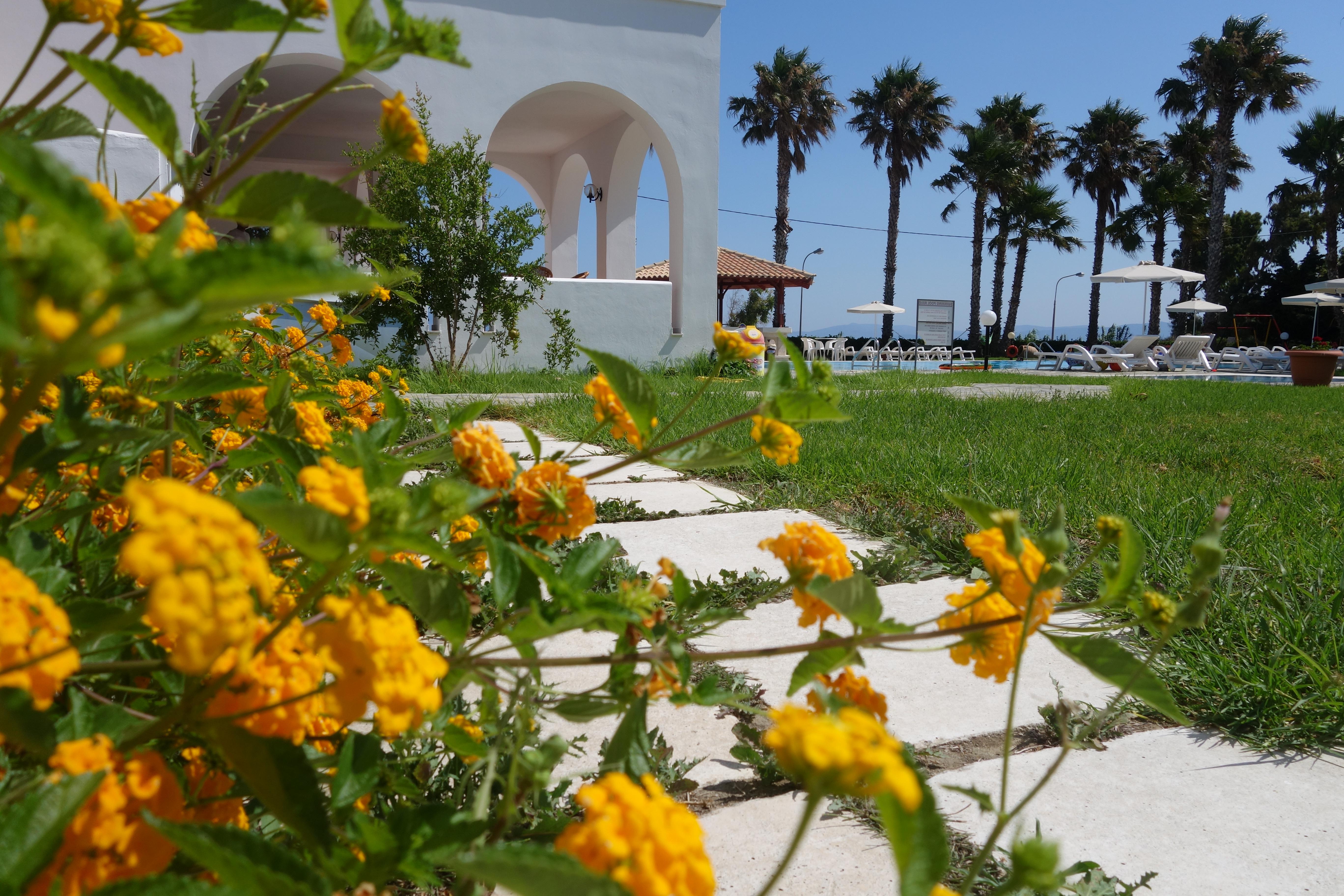 Andromeda Hotel Apartments Psalidi  Exterior foto
